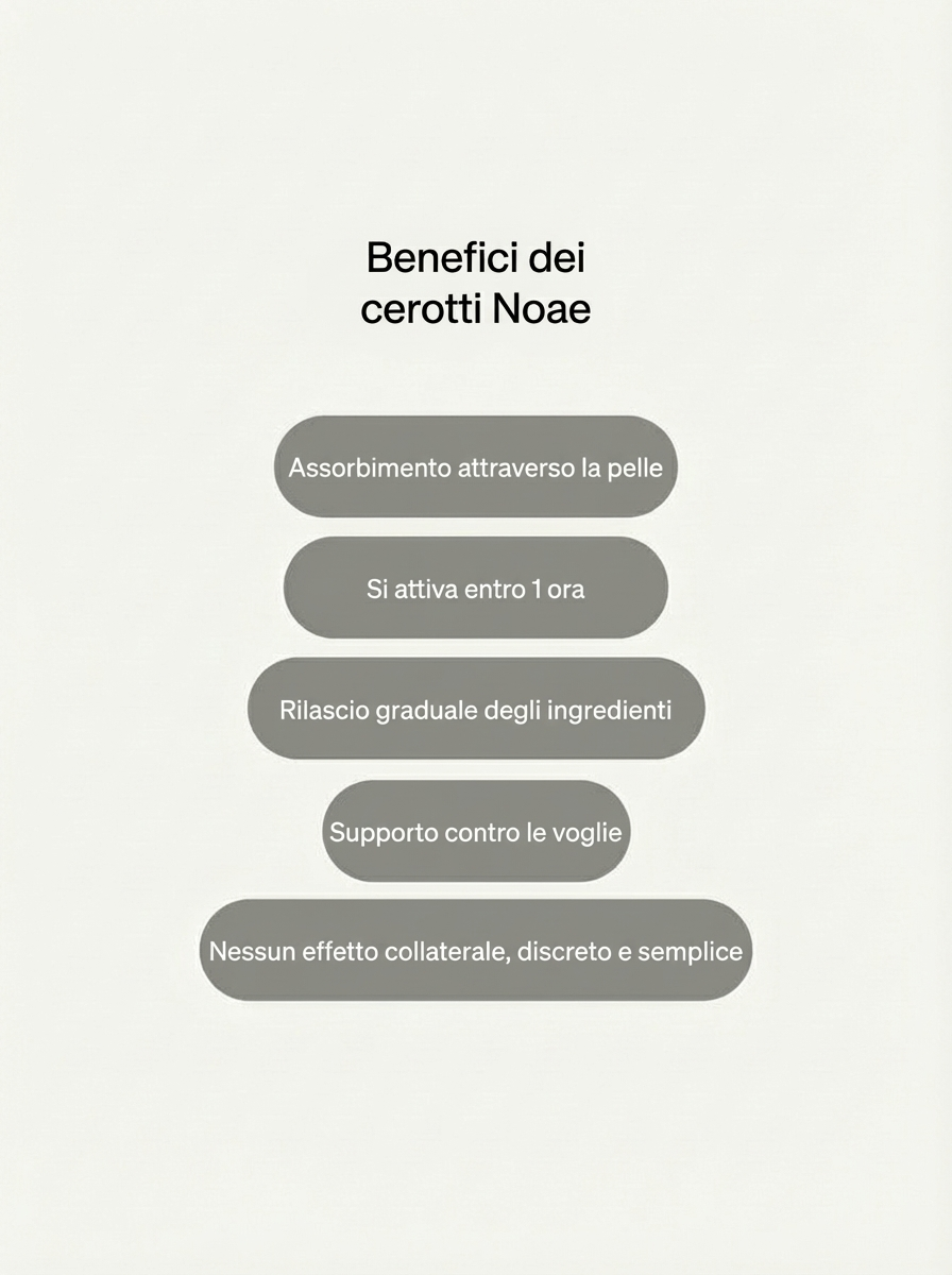 3x Patch Per Il Controllo Dell'Appetito - Noea™